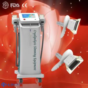 China Hottest selling cryolipolysis slimming machine totally same as American coolsculpting wholesale