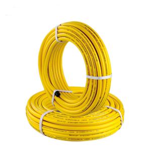 China Gas Transportation SS 304 Flexible Hose , DN25 Stainless Steel Gas Pipe wholesale