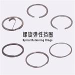 Stainless Steel Internal Retaining Snap Ring