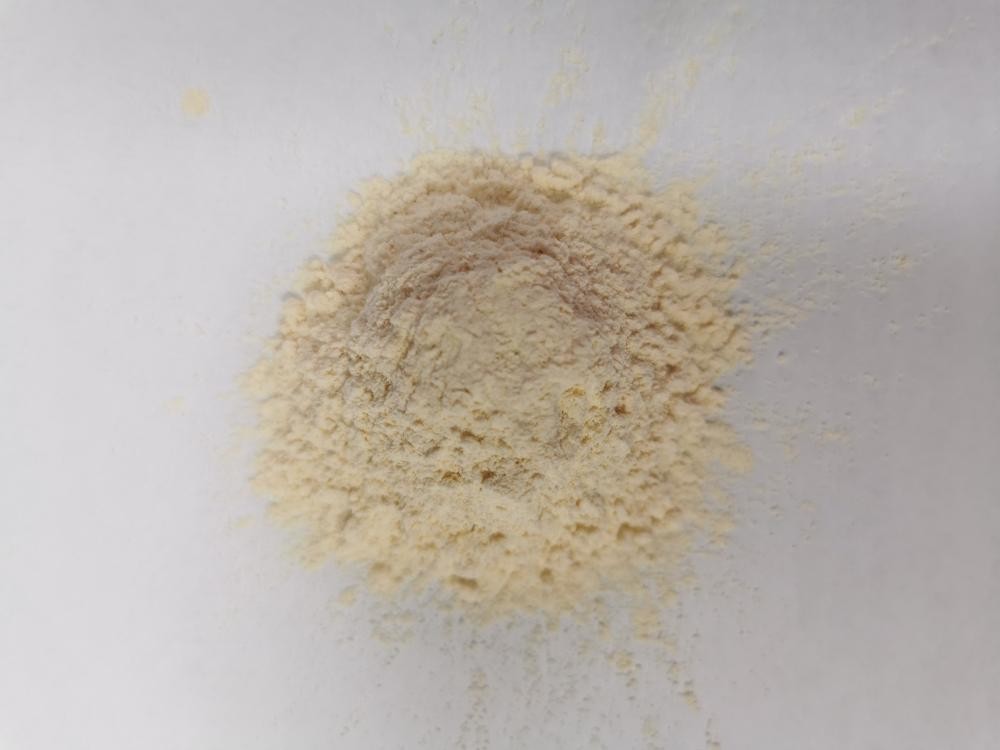 HALAL Creamy To Light Yellow Dehydrated Garlic Powder 80mesh