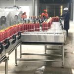 Automatic Ce Standard Bottle Pasteurization Tunnel