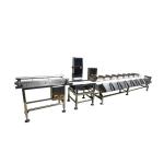 Bearing Case Carton Box Conveyor Weight Checker Machine