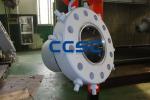 Casing head