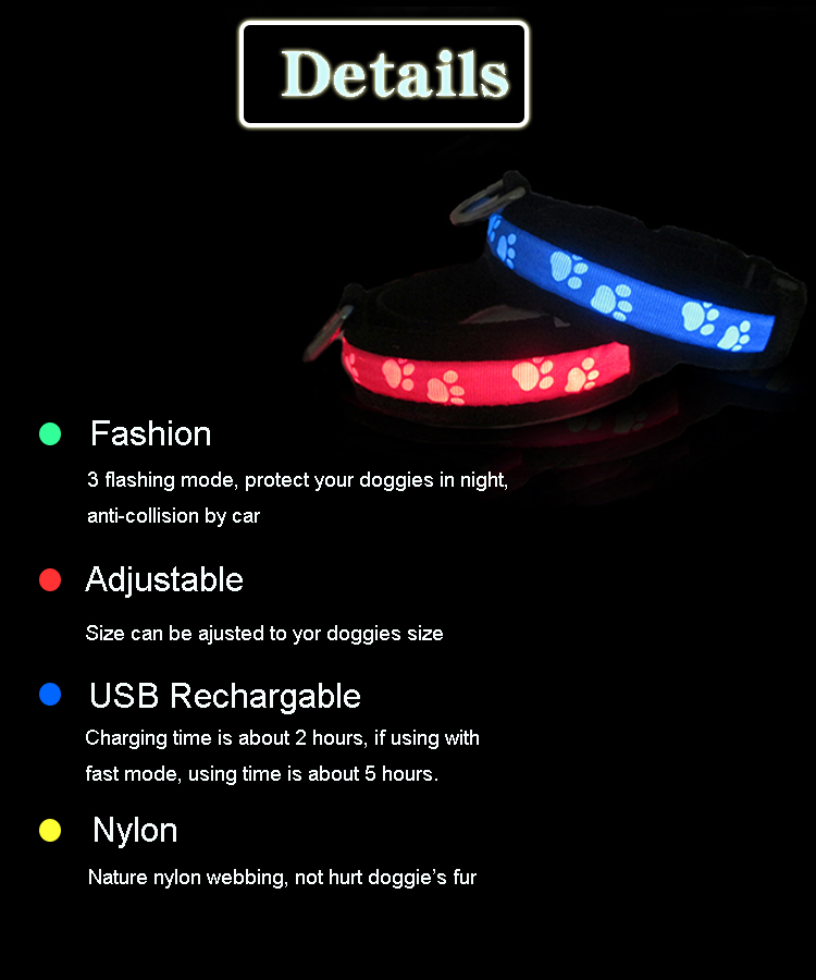 C903 Safety Nylon Webbing USB Rechargeable LED Pet Collar Leash Led Dog Collars in darkness