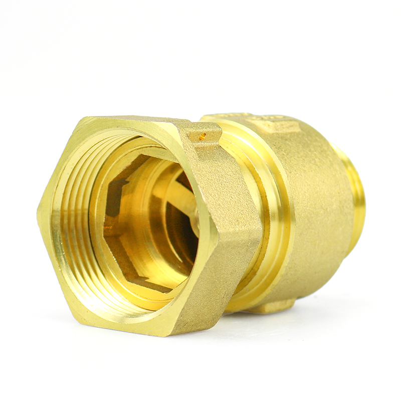 Single Port One Way Check Valve Female X Male Anti Air Rotation