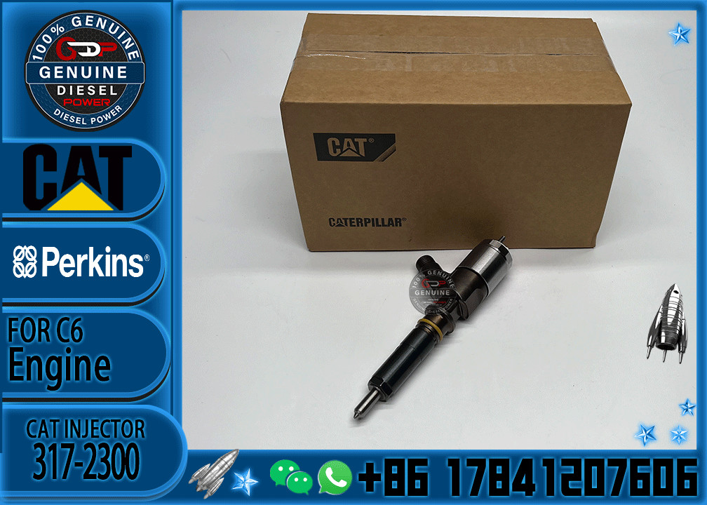 Common Rail C6 Diesel Engine Fuel Injector 317-2300 326-4700 295-9130 10R7675