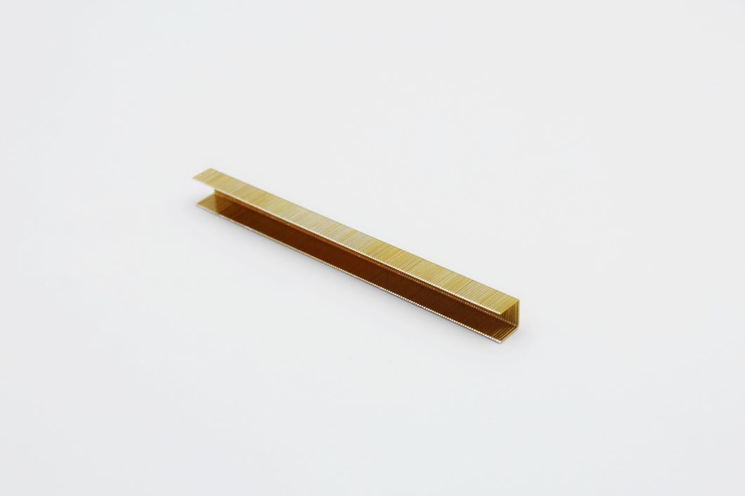 Top-Rated 14 Series Galvanized Industrial Wire Staples 20 Gauge with High Quality 1410