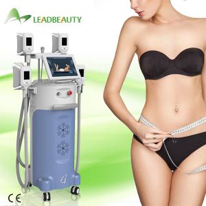 China High Performance Fat Freezing body shaping Cryolipolysis slimming machine wholesale