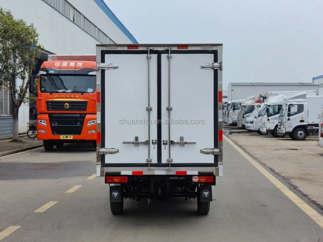 Customized Frozen Meat Delivery Trucks 4.2m Pure Electric Refrigerated Truck