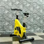 Spin Cycle Bike Fitness Home Use Indoor Exercise Spin Bike Sports Bicycle