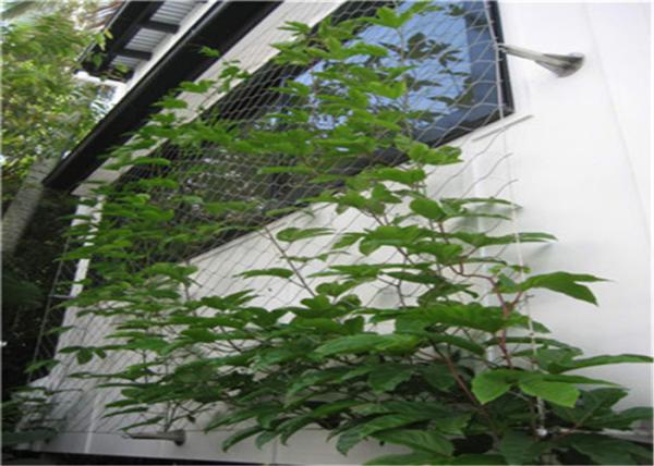 80mm*80mm Stainless Steel Rope Mesh Netting 316L For Climbing Plants