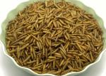 Brown High Protein Black Soldier Fly Powder