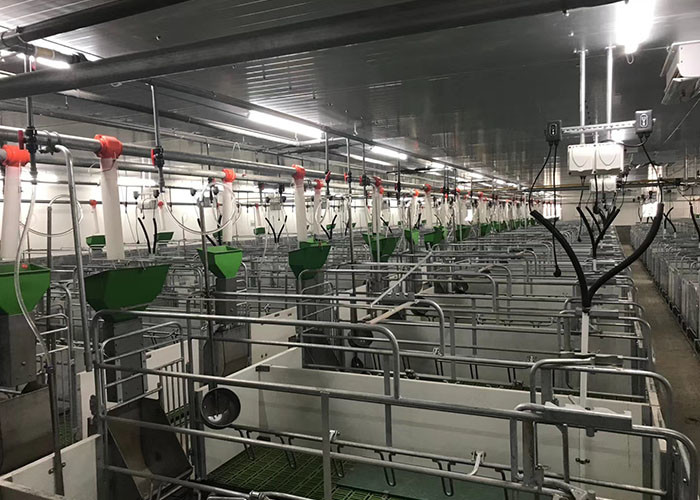 OEM ODM 304 Stainless Steel Farrowing Crates Swine Gestation Crates
