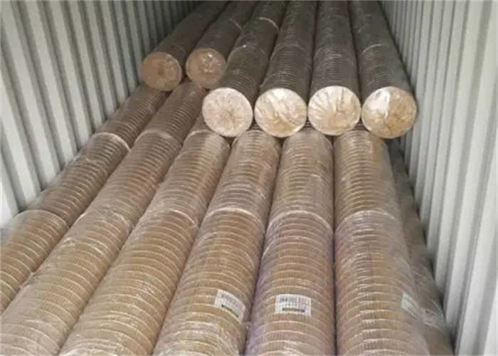 Stainless Steel Welded Wire Mesh Panels / Rolls Shape Customized