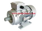 Single Phase Electric Motor, AC Electric Motor and Geared Motor,Small AC Motor