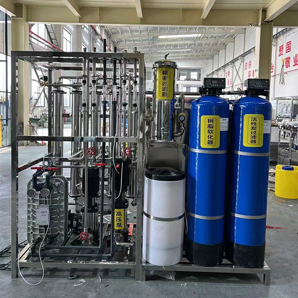 Professional 500lph double-stage RO EDI Water Purification Equipment Environment