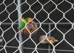 China Woven AISI 316 Aviary Wire Netting Horizontal / Vertical Flexible Mesh For Birds wholesale