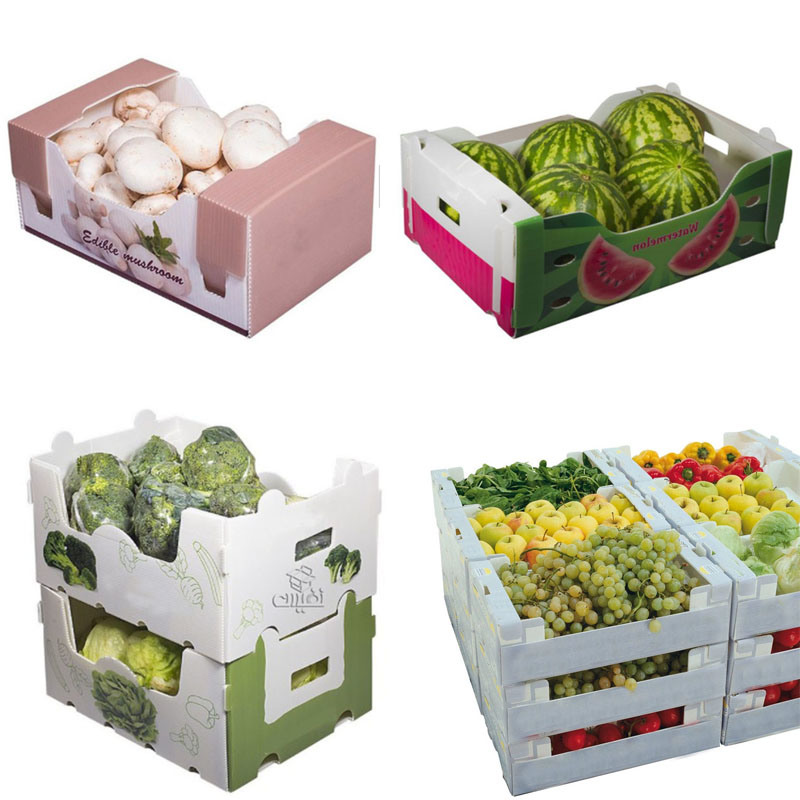 5mm 6mm Correx PP Plastic Boxes For Fruits And Vegetables