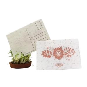 China Custom Paper Seed Embedded Cards Printed Plantable Herb Seed Paper wholesale