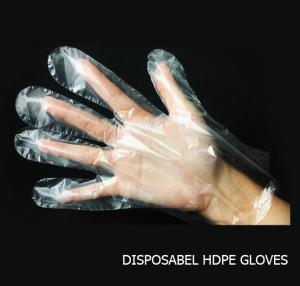 China Disposable HDPE / LDPE Plastic gloves transparent food gloves wholesale