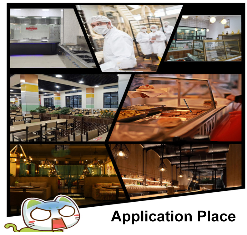Commercial Multi-Function Electric Oven Baking Oven Pizza Cake Bread Mooncake Oven For Baking