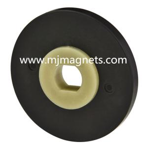 China plastic Injection bonded permanent magnet for automotive wholesale