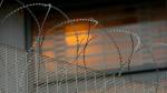 358 mesh fence factory