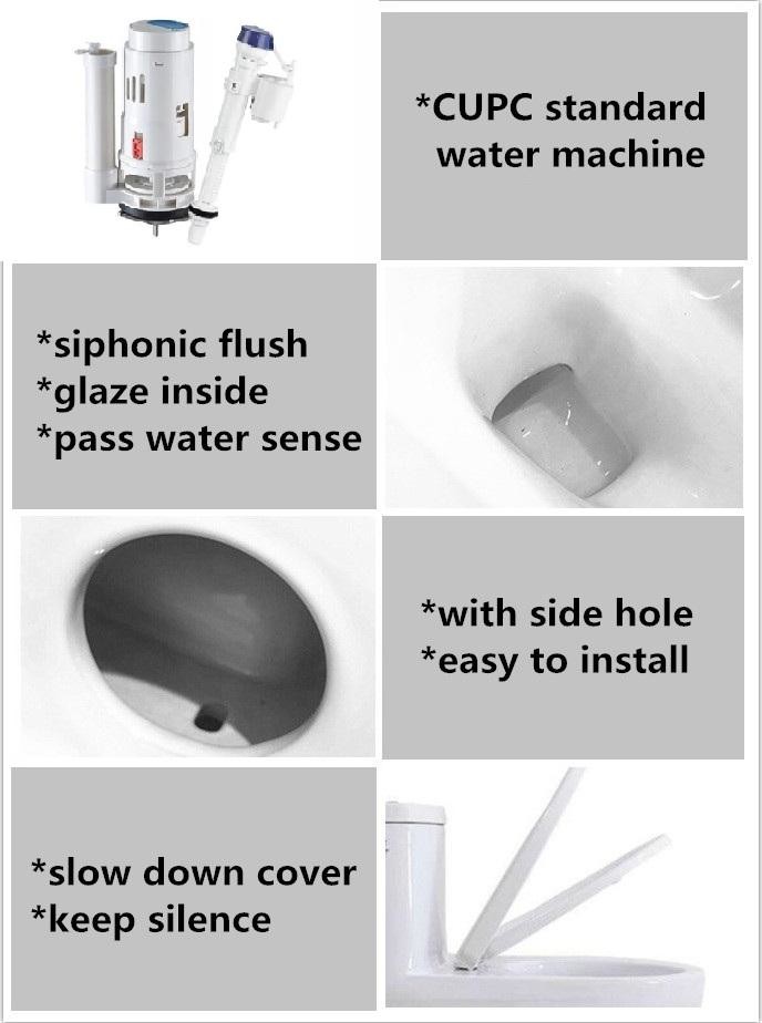 Dual Flush Water Saver Titan Elongated Toilet American Cupc Standard