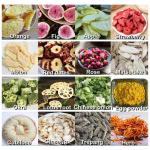 Big Lyophilizer Vacuum Freeze Dryer Machine Food Grade Industrial R507