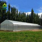 Tropical Film Plastic Poly Tunnel Agricultural Greenhouses Single-span For