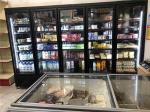 Carel Thermostat Commercial Upright Freezer For Frozen Food