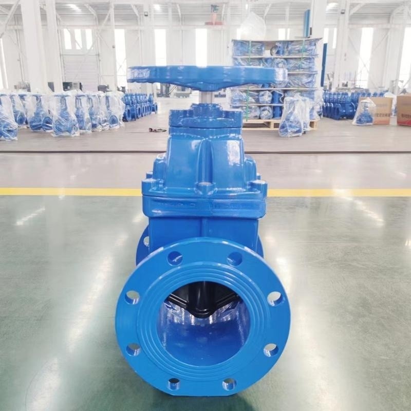 DN300 Rising Resilient Seated Gate Valve GGG50 Ductile Iron Valves