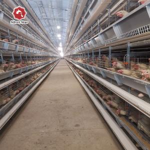 China Breeding Battery Chicken Cage 126 Birds / Set Full Automatic Equipment wholesale