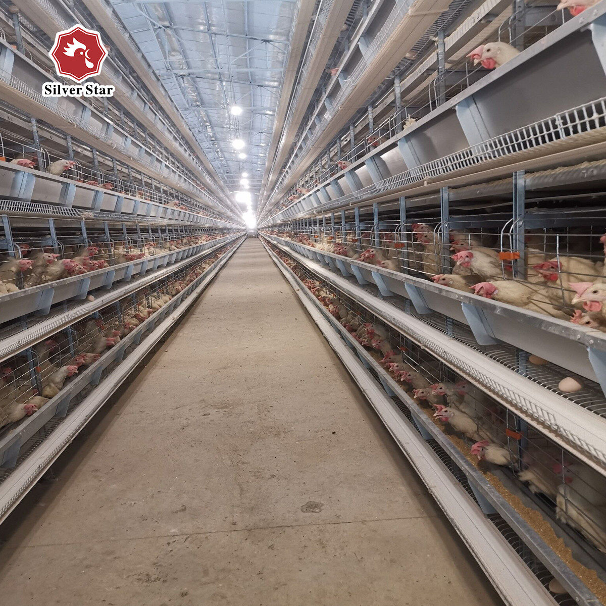 Hot Galvanized 4 Tiers 72 Birds Battery Chicken Cage Newest Design