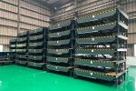 Stationary Dock Ramp Hydraulic Dock Safety Equipment , High Performance