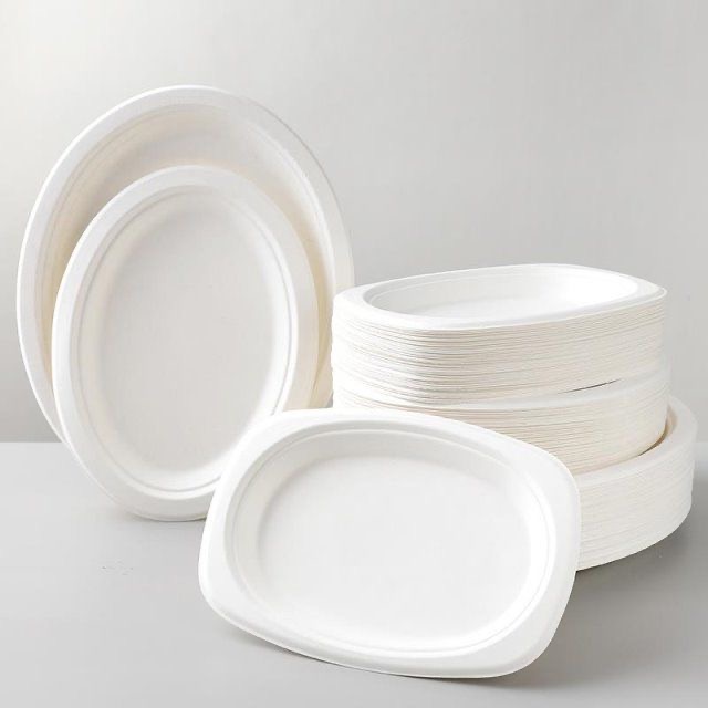 Custom Printed Compostable Smoothie Cups Sugarcane Bagasse Plate 20 Oz