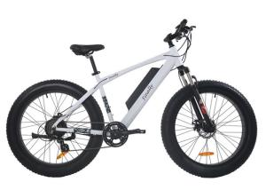 China 48V Electric Assist Fat Bike Intelligent Controller Mechanical Disc Brakes wholesale