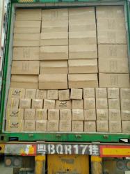 TIMES LIGHTING (SHENZHEN) CO., LTD