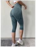 High Elastic Gym Yoga Pants Workout Gym Leggings Sport Women Fitness Seamless