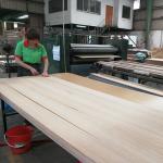 Grade E1 / E0 / P1 / P2 Natural Sapele Pommele Veneer 2745mm Lengthened For