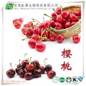 China Natural VC 17% Acerola cherry extract wholesale