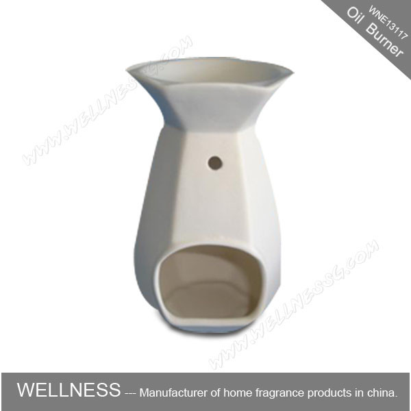 Popular Portable Scented Oil Burner High End Gift Box Packaging , Insect