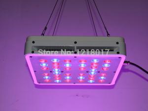 China Popular AC85-265V 5w High quality 200watt CIDLY LED Full Spectrum Led Grow Light For Seed wholesale