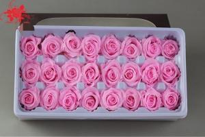 China Wholesale real preserved rose stabilized natural preserved fresh flowers for Valentines day wholesale