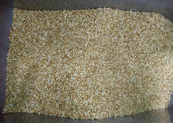 High Definition Groundnut Machine One Channels Peanut Machine