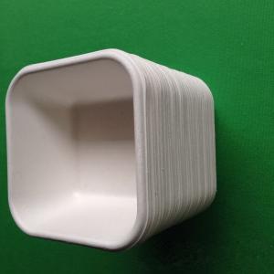 China biodegradable eco-friendly dinnerware sugarcane square shaped food tray wholesale