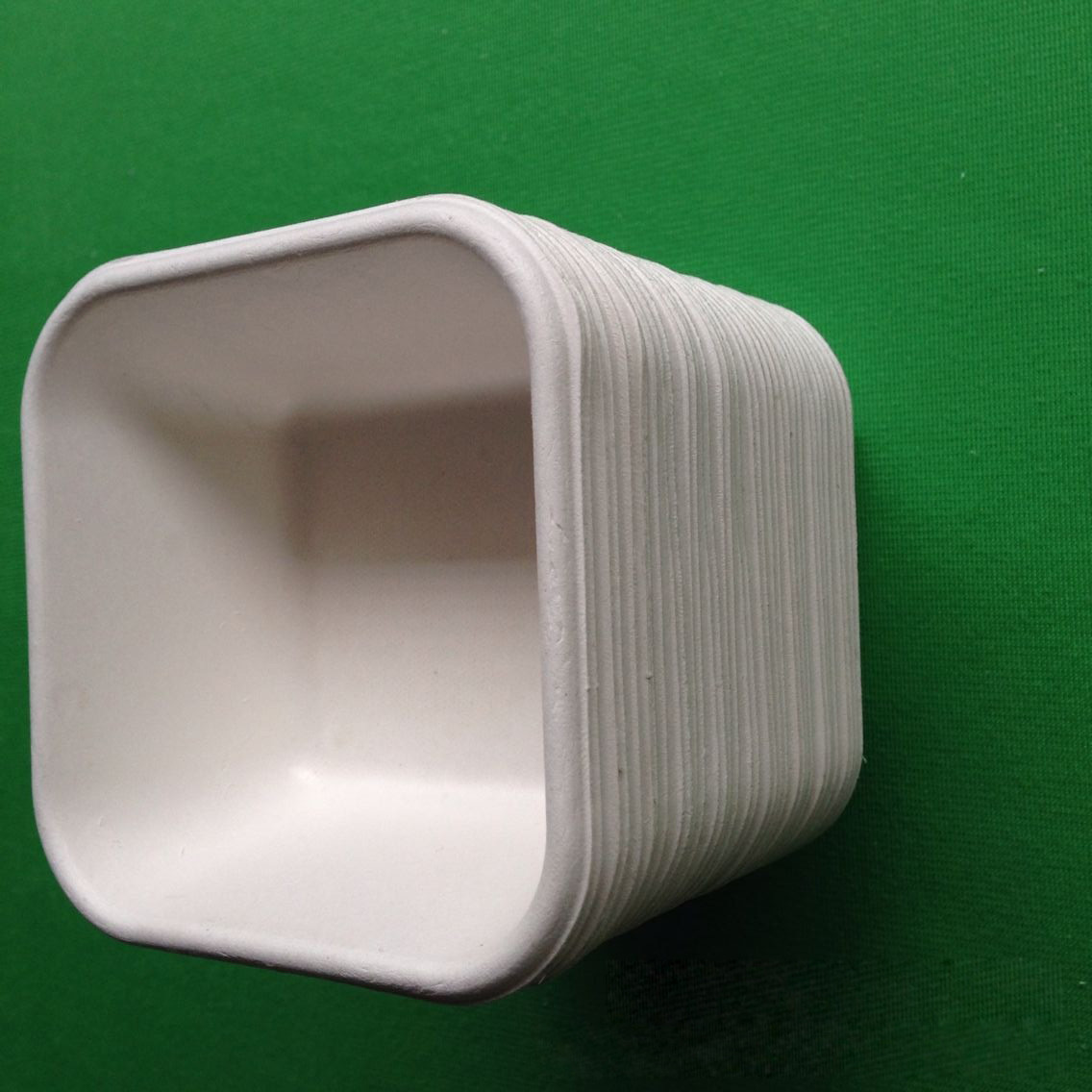 biodegradable eco-friendly dinnerware sugarcane square shaped food tray