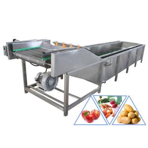 China Automatic Carrot Chilli 1200kg/H Vegetable Bubble Washing Machine wholesale
