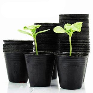 New design 200 cells seed tray for propagation plant growing trays Planting tray for green house and farm with great price