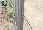 Recyclable Grape Vine Stakes 1.5MM Thick